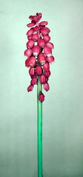 F 047A